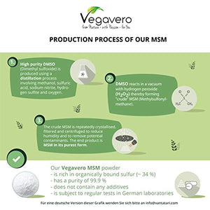 MSM Polvo - Metilsulfonilmetano 99,9% PURO - 1 Kg